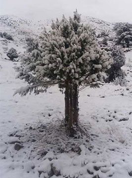 Segundo día de tormentas, la nieve cubre las montañas